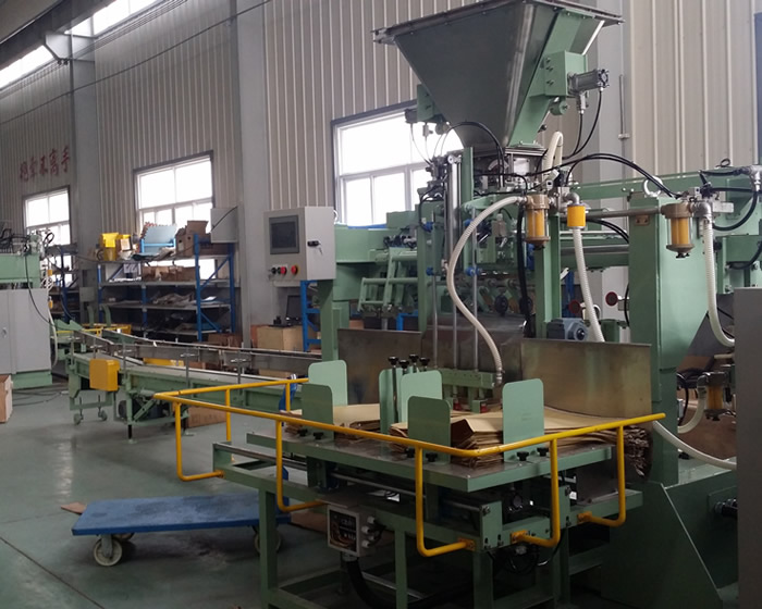 全自動自動給袋上袋包裝機(jī)